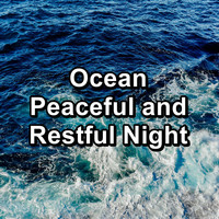 Ocean Waves Sleep Aid - Ocean Peaceful and Restful Night