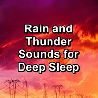 ASMR SLEEP - Rain and Thunder Sounds for Deep Sleep