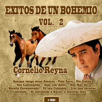 Cornelio Reyna - Exitos de un Bohemio, Vol. 2