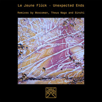 Le Jeune Flück - Unexpected Ends