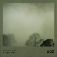 Ambient Light - Mellow Mist