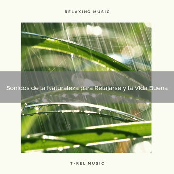 Especialistas de Musica para Dormir, Sea Sounds Radio 1 - Sonidos de la Naturaleza para Relajarse y la Vida Buena