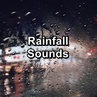 Rain Storm & Thunder Sounds - Rainfall Sounds