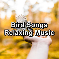 Nature - Bird Songs Relaxing Music
