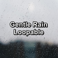 Sleep Tribe - Gentle Rain Loopable