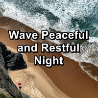 Nature Sounds Radio - Wave Peaceful and Restful Night