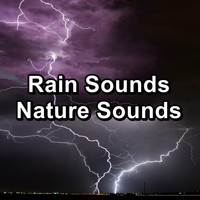 Soothing Nature Sounds - Rain Sounds Nature Sounds