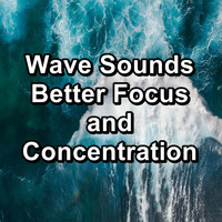 Nature Sounds Radio - Wave Sounds Better Focus and Concentration