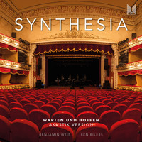 Synthesia - Warten Und Hoffen (Akustik Version)