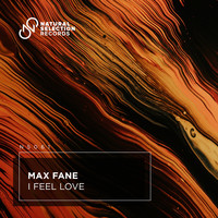 Max Fane - I Feel Love