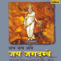Narendra Chanchal - Jai Jai Ambe Jai Jagdambe, Vol. 2