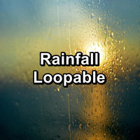 Nature Tribe - Rainfall Loopable