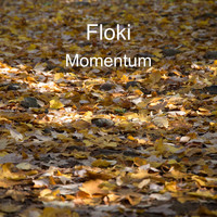 Floki / - Momentum