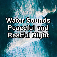 Alpha Wave Movement - Water Sounds Peaceful and Restful Night
