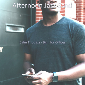 Afternoon Jazz Band - Calm Trio Jazz - Bgm for Offices