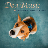Dog Music, Music For Dog's Ears, Sleeping Music For Dogs - Dog Music: Soft Piano Music For Dogs, Easy Listening Background Music, Music For Relaxation and Dog Music While You're Away