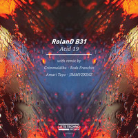 RolanD B31 - Acid 19