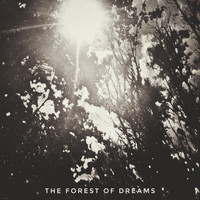 Xin Music - The Forest of Dreams