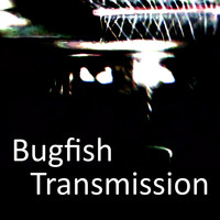 Bugfish / - Transmission