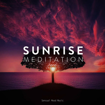 Various Artists - Sunrise Meditation, Vol. 7