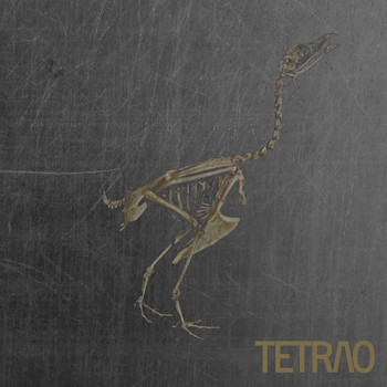 Various Artist - TETRAO V /  Volumen II