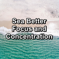 Nature Sounds Radio - Sea Better Focus and Concentration