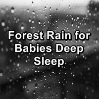 Rain Storm & Thunder Sounds - Forest Rain for Babies Deep Sleep