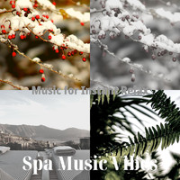 Spa Music Vibes - Music for Instant Relax