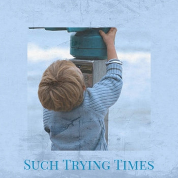 Various Artist - Such Trying Times