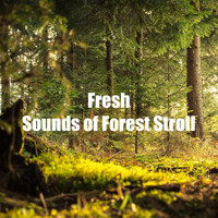 Soothing Nature Sounds - Fresh Sounds of Forest Stroll