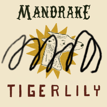 Mandrake - Tigerlily