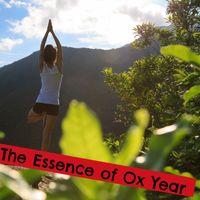 Asian Zen, World Music For The New Age, Buddha Lounge - The Essence of Ox Year - Start a Chinese New Year Meditating, Doing Yoga and Practicing Self-Care