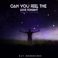 Sly Goodridge - Can You Feel the Love Tonight