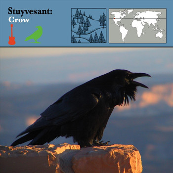Stuyvesant - Crow