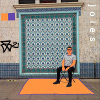 David Willetts - Joies