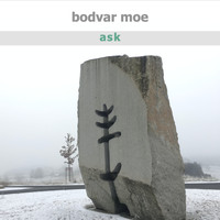 Bodvar Moe - ask