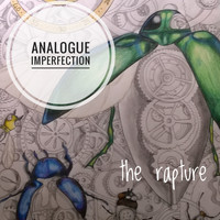 The Rapture - Analogue Imperfections