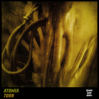 Atomia - Torn