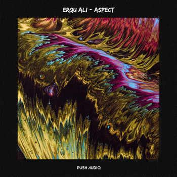 Erqu Ali - Aspect