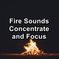 Sleeping Sounds - Fire Sounds Concentrate and Focus