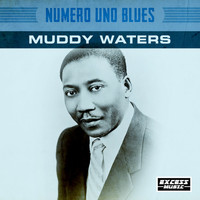 Muddy Waters - Numero Uno Blues