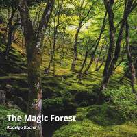 Rodrigo Rocha - The Magic Forest