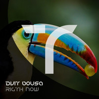 Dvit Bousa - Rigth Now