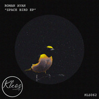 Roman Avan - Space Birds EP