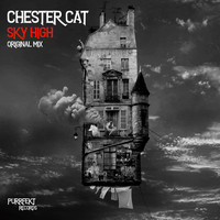 Chester Cat - Sky High