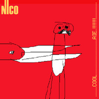 Nico - cool...aie !!!
