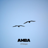 Amba - Птицы