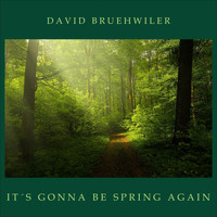 David Bruehwiler - It's Gonna Be Spring Again