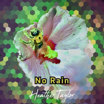 Heather Taylor - No Rain