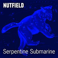 Nutfield - Serpentine Submarine